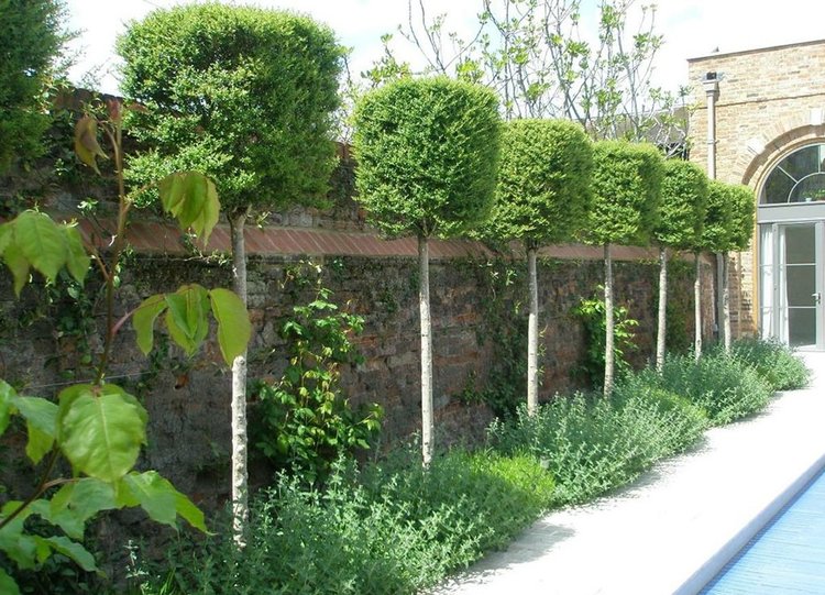 GARDENS design inspiration